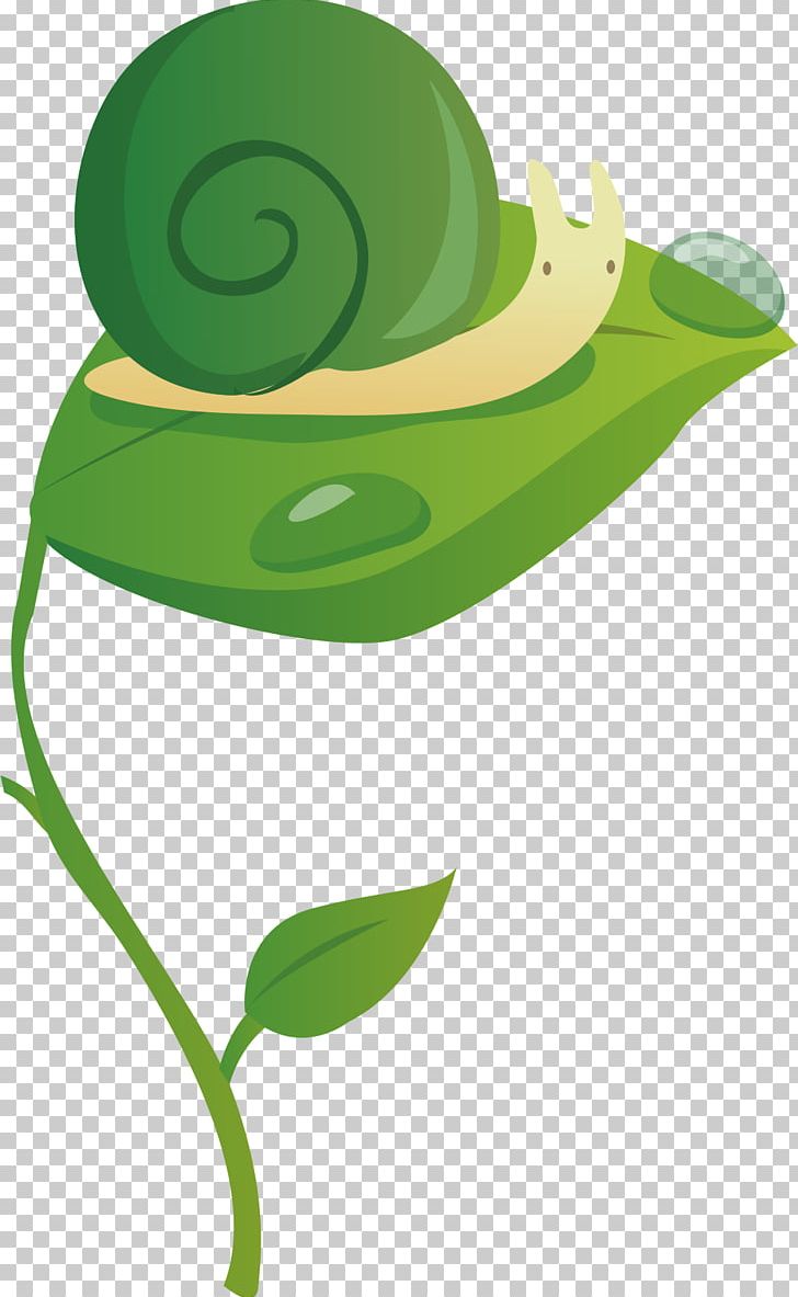 Hat Leaf Animals PNG, Clipart, Animal, Animals, Background Green, Cartoon, Download Free PNG Download