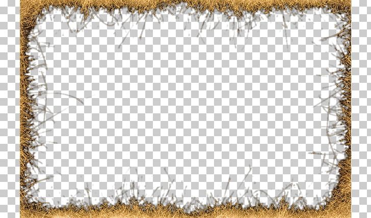 Rectangle Pattern PNG, Clipart, Background, Beautiful, Beautiful Fireworks, Blooming, Decorative Elements Free PNG Download