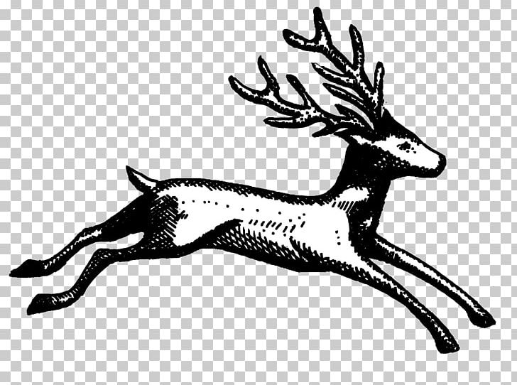 Reindeer Epping PNG, Clipart, Antler, Art, Black And White, Cartoon, Cemetery Free PNG Download