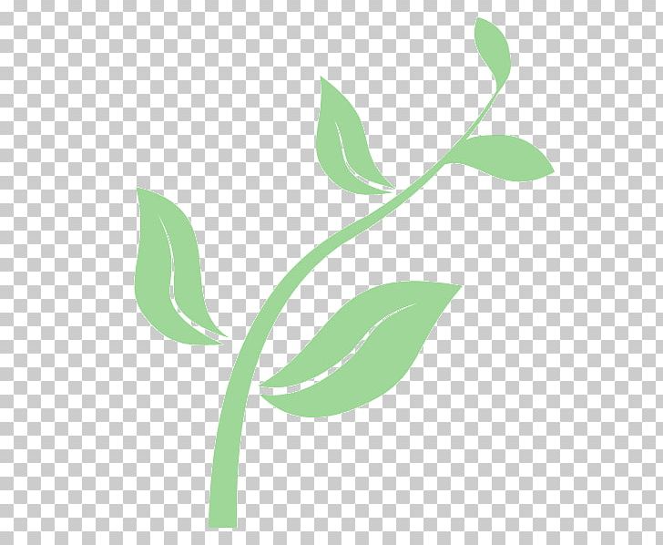 Seedling From Seed To Plant PNG, Clipart, Blog, Branch, Computer Icons, Flora, Flower Free PNG Download