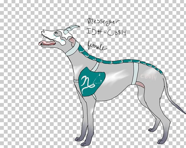 Whippet Italian Greyhound Spanish Greyhound Sloughi PNG, Clipart, 08626, Breed, Carnivoran, Cartoon, Dog Free PNG Download