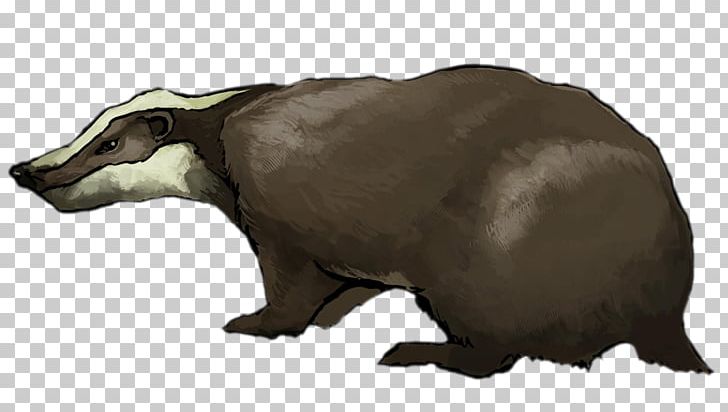 European Badger PNG, Clipart, Art, Badger, Badger Badger Badger, Bear, Carnivoran Free PNG Download