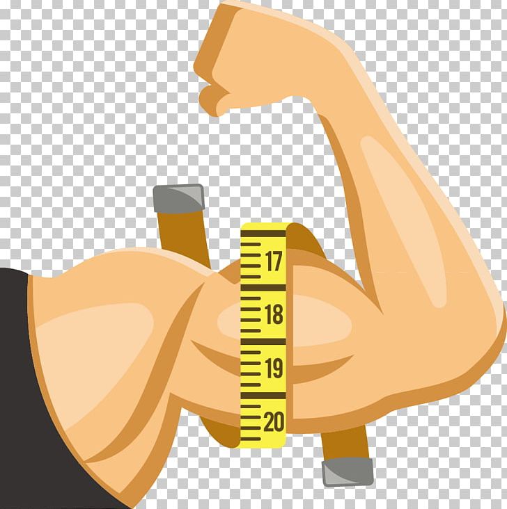 Muscle Arms Muscle Arms Thumb PNG, Clipart, Angle, Arm, Business Man, Cartoon, Cartoon Arms Free PNG Download