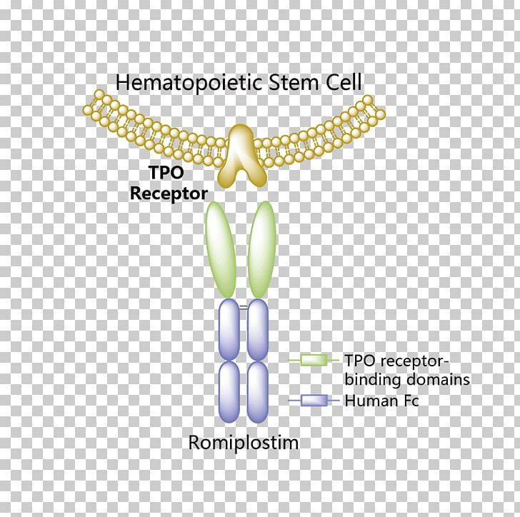 Romiplostim Orphan Drug Dulaglutide Thrombopoietin Structure PNG, Clipart, Agonist, Biological Rosemary Grass, Body Jewelry, Brand, Drug Free PNG Download