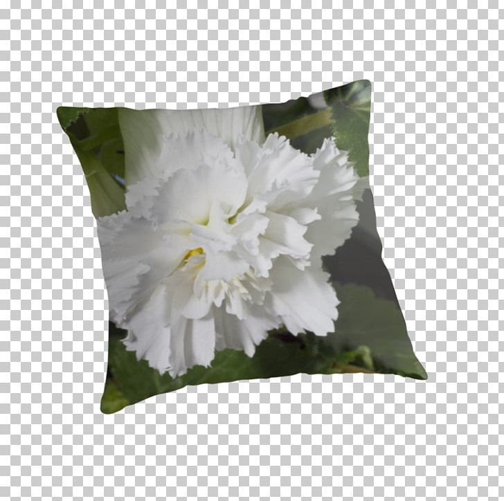 Throw Pillows Cushion Flowering Plant PNG, Clipart, Begonia, Cushion, Flower, Flowering Plant, Furniture Free PNG Download