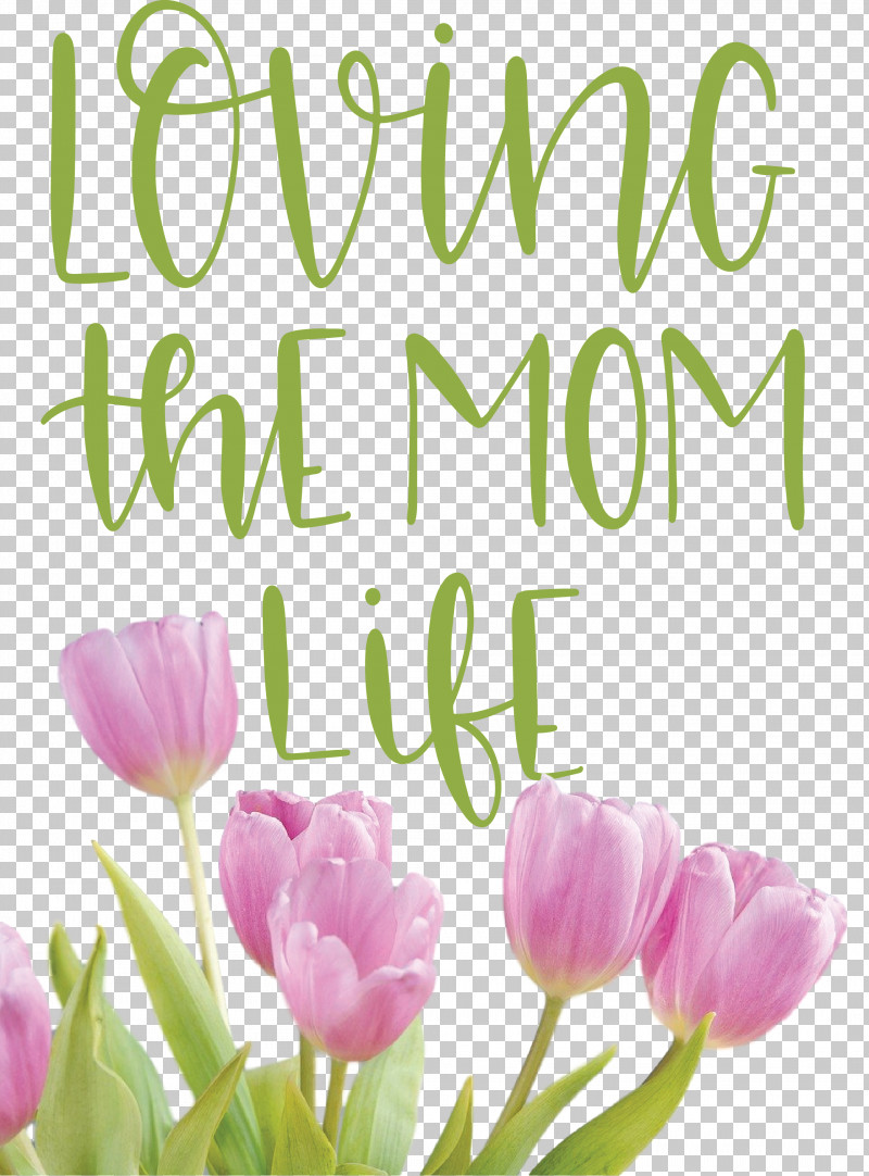 Mothers Day Mothers Day Quote Loving The Mom Life PNG, Clipart, Biology, Cut Flowers, Floral Design, Flower, Lilac M Free PNG Download