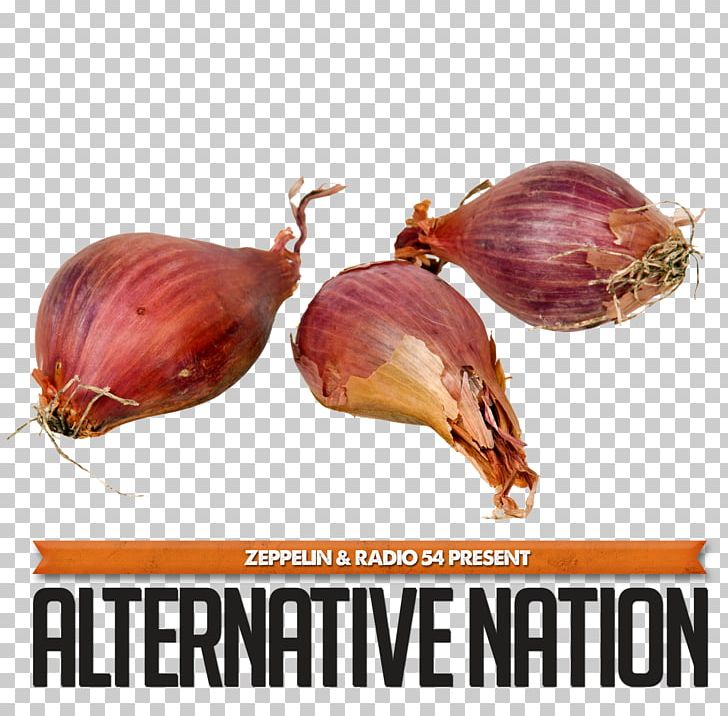 Shallot Garlic Potato Onion Allium Chinense Chives PNG, Clipart, Allium, Allium Chinense, Bulb, Chives, Color Free PNG Download