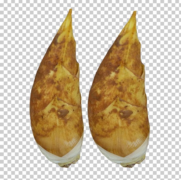 Bamboo Shoot Vegetable PNG, Clipart, Bamboo, Bamboo Border, Bamboo Frame, Bamboo Leaves, Bamboo Shoot Free PNG Download