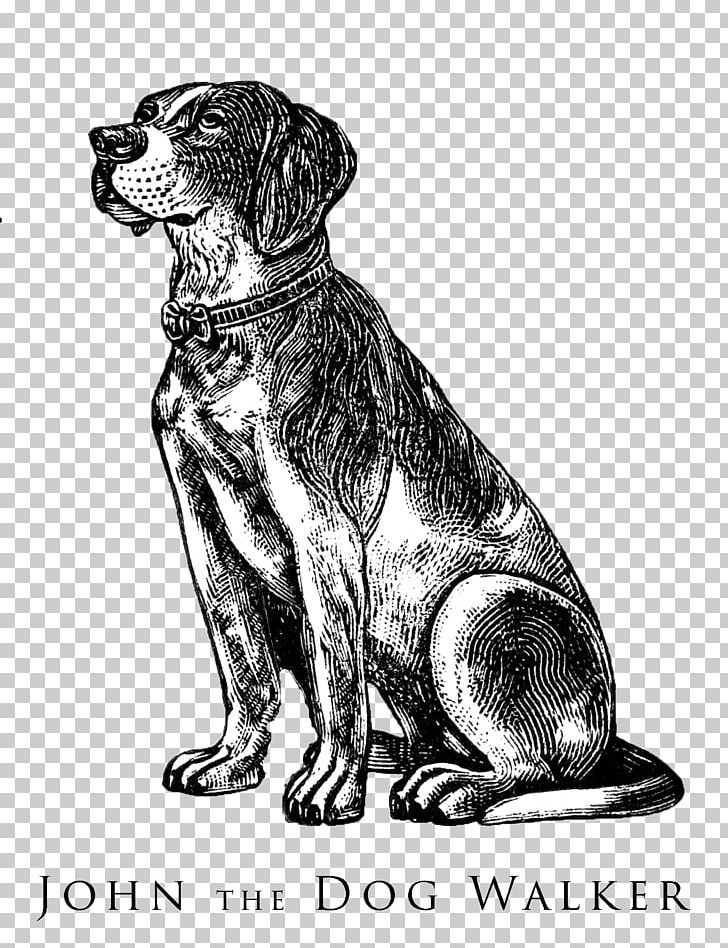 Beagle Bulldog Puppy Pointer Pet Sitting PNG, Clipart, Animal Illustrations, Animals, Beagle, Black And White, Carnivoran Free PNG Download