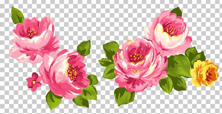 Centifolia Roses Flower Pink Garden Roses PNG, Clipart, Annual Plant, Blossom, Centifolia Roses, Cut Flowers, Floral Design Free PNG Download
