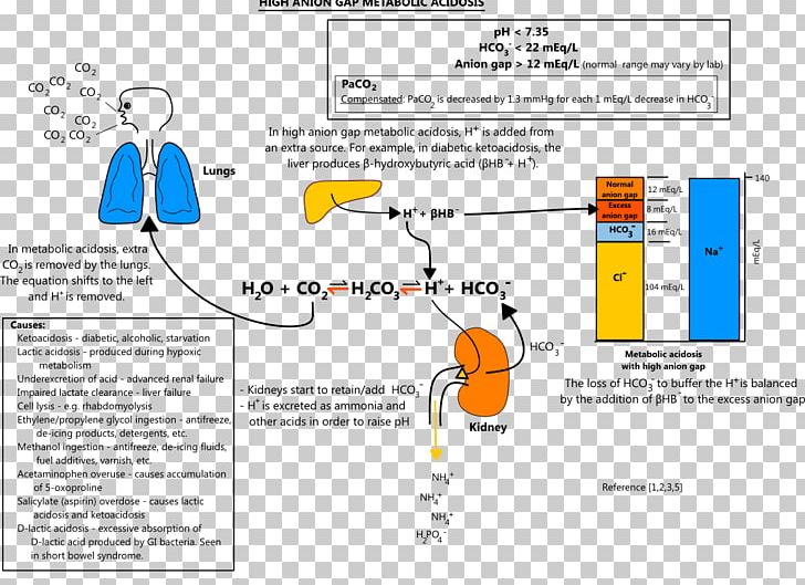 High Anion Gap Metabolic Acidosis Metabolic Alkalosis PNG, Clipart, Acidosis, Acute Kidney Failure, Angle, Lactic Acidosis, Line Free PNG Download
