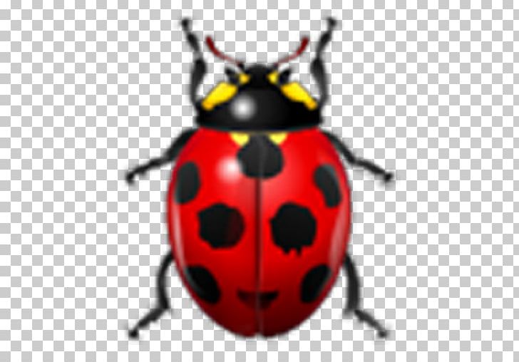 Ladybird Beetle Watercolor Painting Drawing Illustration PNG, Clipart, Art, Arthropod, Beetle, Curculio Nucum, Drawing Free PNG Download