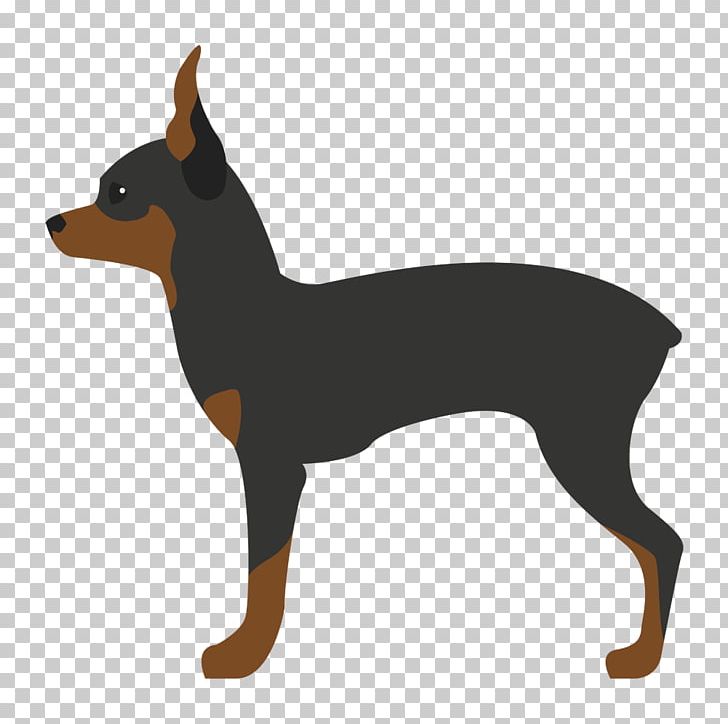 Miniature Pinscher English Toy Terrier Russkiy Toy Toy Fox Terrier Manchester Terrier PNG, Clipart, Carnivoran, Companion Dog, Dog, Dog Breed, Dog Like Mammal Free PNG Download