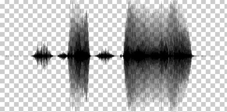 Waveform Sound Equalisers PNG, Clipart, Acoustic Wave, Angle, Audio Signal, Black, Black And White Free PNG Download