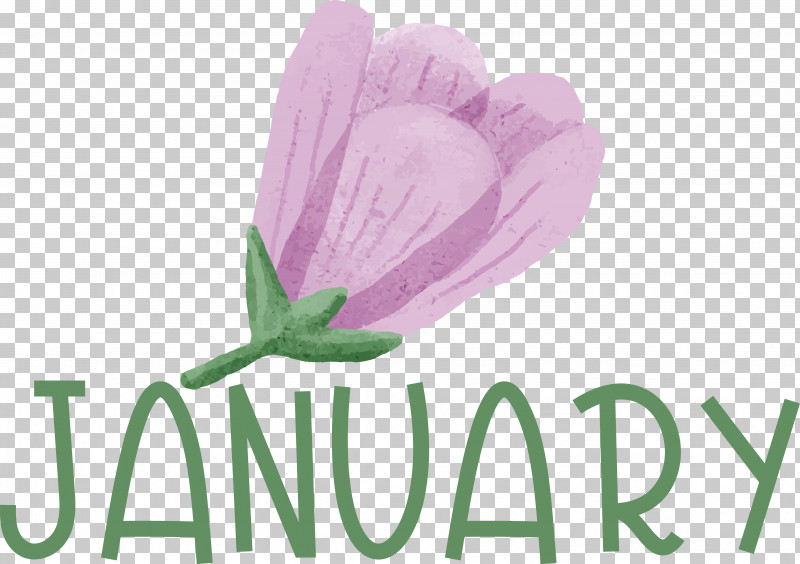 Lavender PNG, Clipart, Biology, Flower, Lavender, Lilac, Meter Free PNG Download