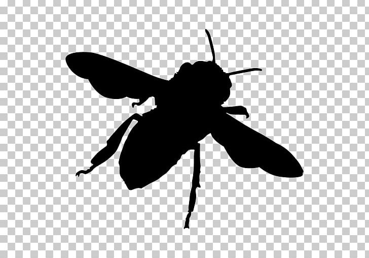 Bee Hornet Insect Yellowjacket PNG, Clipart, Arthropod, Bee, Black And White, Bumblebee, Fly Free PNG Download