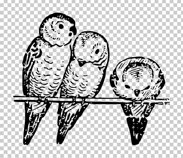 Budgerigar Bird Parrot Parakeet Dog PNG, Clipart, Animal, Animals, Art, Beak, Bird Free PNG Download