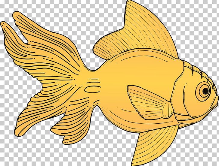 Goldfish PNG, Clipart, Download, Fauna, Fish, Fish Art Pictures, Free Content Free PNG Download