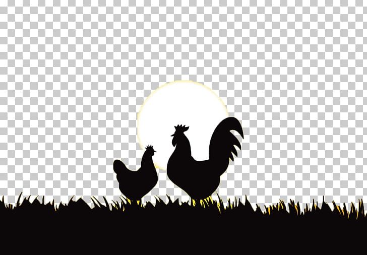 Rooster Chicken Silhouette PNG, Clipart, Beak, Bird, Brand, Chicken, Cock Free PNG Download