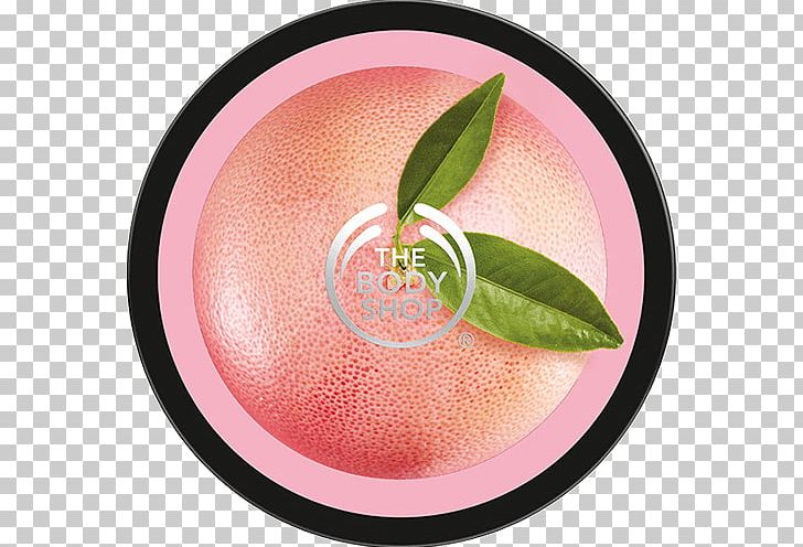 The Body Shop Body Butter Lotion ボディバター Grapefruit PNG, Clipart,  Free PNG Download