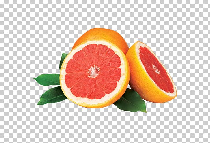 Grapefruit Juice Blood Orange Tangelo PNG, Clipart, Blood Orange, Citrus, Flavor, Food, Fruit Free PNG Download