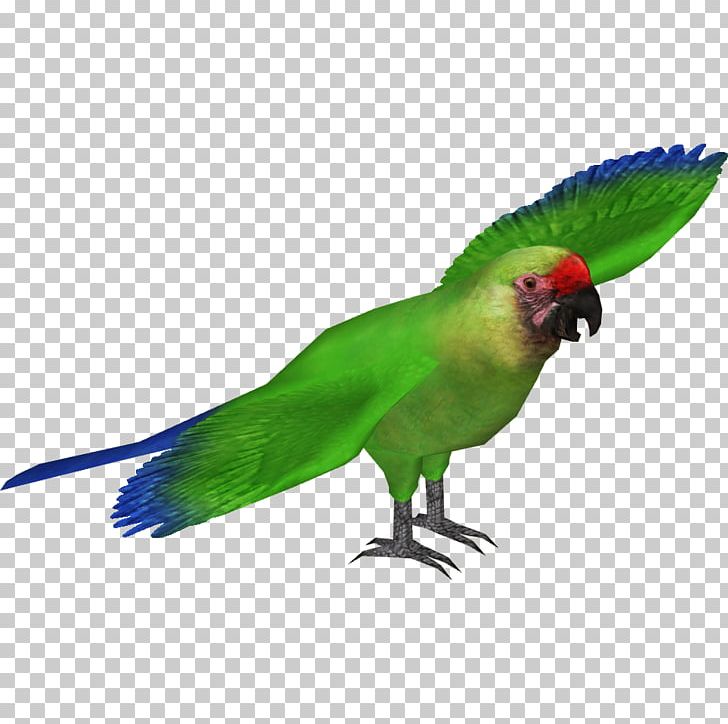 Military Macaw Parrot Blue-headed Macaw Scarlet Macaw PNG, Clipart, Beak, Bird, Blueandyellow Macaw, Blueheaded Macaw, Fauna Free PNG Download