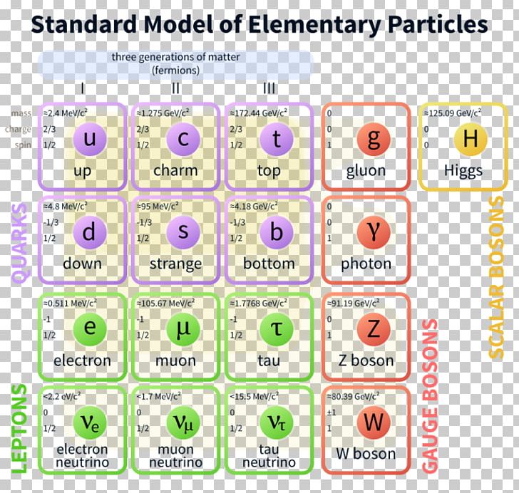 The Standard Model Of Elementary Particles Fundamental Interaction PNG, Clipart, Area, Boson, Brand, Diagram, Document Free PNG Download