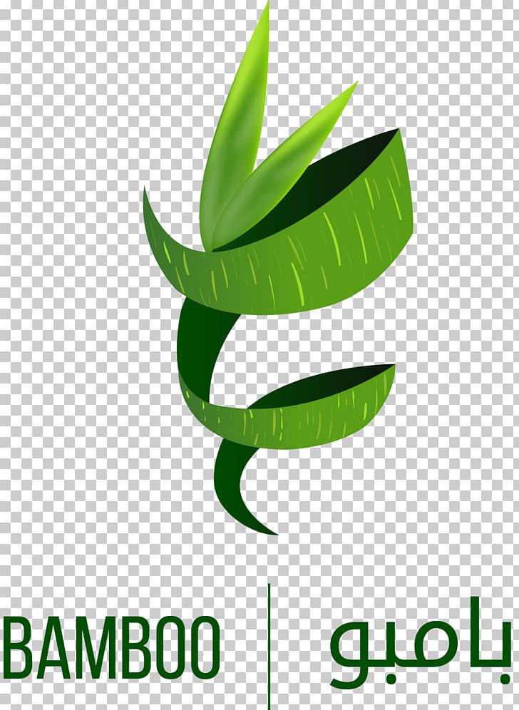 Bamboo Science Interdisciplinarity King Saud University Grasses PNG, Clipart, Bamboo, Brand, Computer Program, Grass, Grasses Free PNG Download