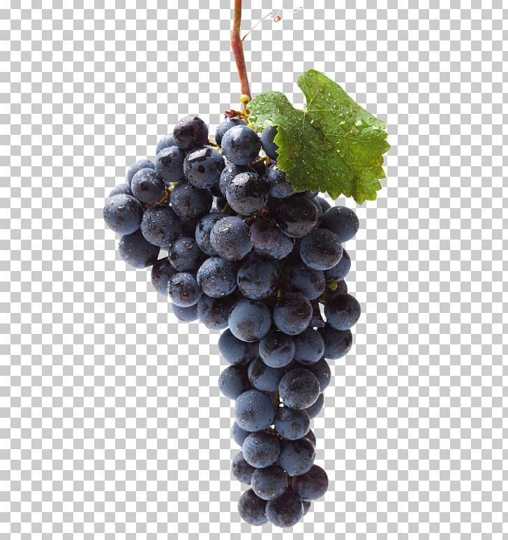 Black Muscat Food Raisin Table Grape PNG, Clipart, Berry, Black Muscat, Chasselas, Common Grape Vine, Flowering Plant Free PNG Download