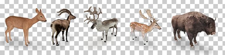 Antelope Zoo Tycoon 2 Deer Bison Bonasus PNG, Clipart, Animal, Animal Figure, Antelope, Antler, Bison Bonasus Free PNG Download