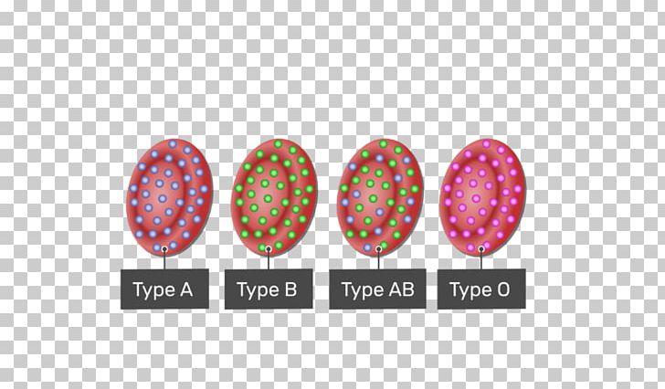 Duffy Antigen System Blood Type Red Blood Cell Human Blood Group Systems PNG, Clipart, Abo, Antigen, Blood, Blood Cell, Blood Type Free PNG Download