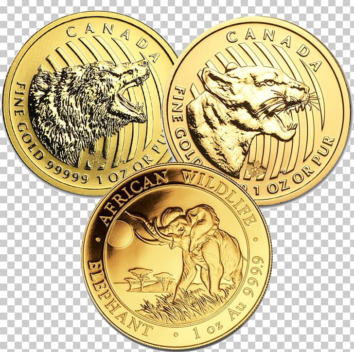 Gold Coin Gold Coin Bullion Coin Proof Coinage PNG, Clipart, Brass, Bronze Medal, Bullion, Bullion Coin, Canadian Gold Maple Leaf Free PNG Download