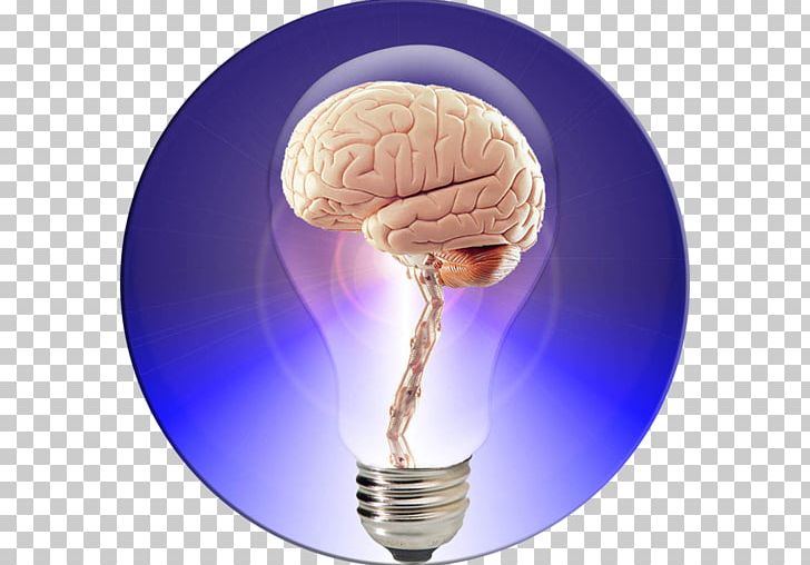 Human Brain Project Your Brain Power The Brain Book PNG, Clipart,  Free PNG Download