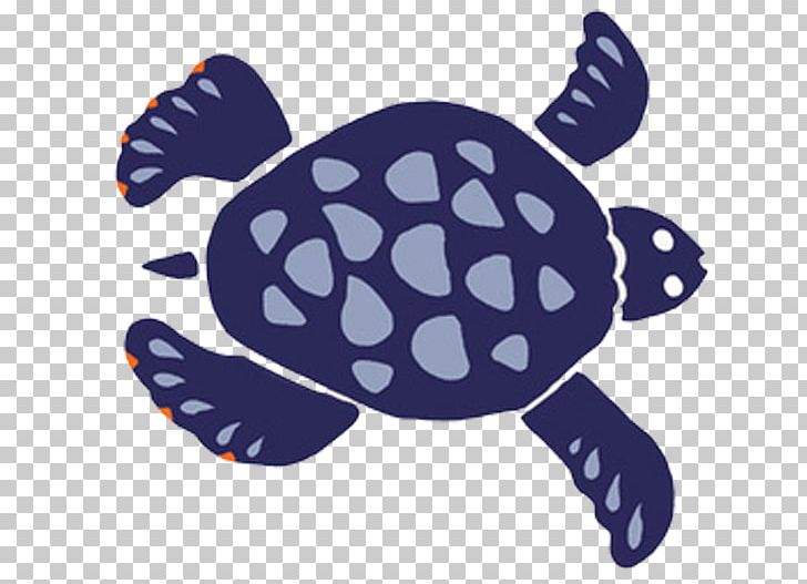 Sea Turtle Illustration PNG, Clipart, Animal, Blue, Clip Art, Creative, Design Free PNG Download