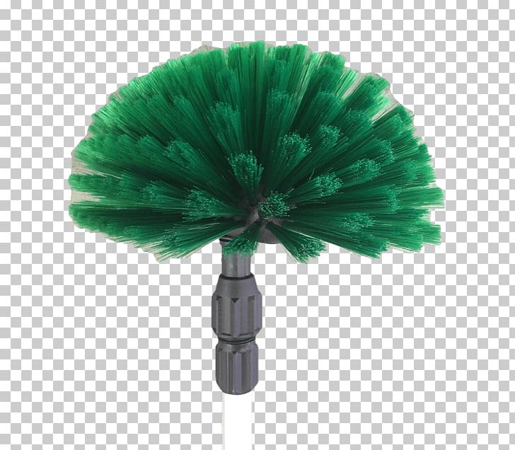 Tree Green PNG, Clipart, Green, Nature, Tree Free PNG Download