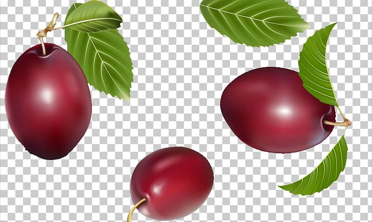 Prunus Salicina Plum Cranberry U674eu5b50 PNG, Clipart, Apple, Auglis, Beautiful, Berry, Camu Camu Free PNG Download