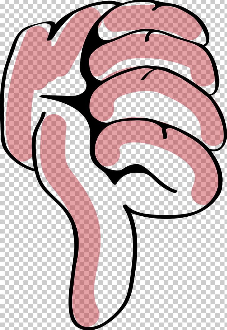 Thumb Finger PNG, Clipart, Area, Artwork, Cheek, Download, Face Free PNG Download