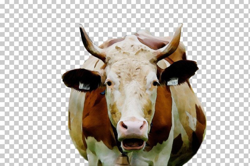 Dairy Cattle Texas Longhorn Toggenburg Goat Beef Cattle Livestock PNG, Clipart, Agriculture, Beef Cattle, Breed, Dairy, Dairy Cattle Free PNG Download