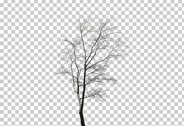 Computer File PNG, Clipart, Black And White, Branch, Christmas, Christmas Frame, Christmas Lights Free PNG Download