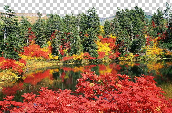 Daisetsuzan National Park Autumn Leaf Color High-definition Television PNG, Clipart, Amusement Park, Autumn Leaf, Flower, Garden, Landscape Free PNG Download