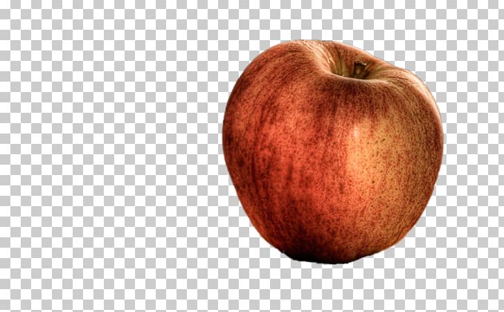 Apple Painting Drawing Kocaeli Province PNG, Clipart, Apple, Coloring Book, Drawing, Elma, Elma Resimleri Free PNG Download