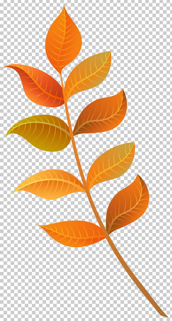 Autumn Leaf Color PNG, Clipart, Art, Autumn, Autumn Leaf Color, Autumn Leaves, Color Free PNG Download