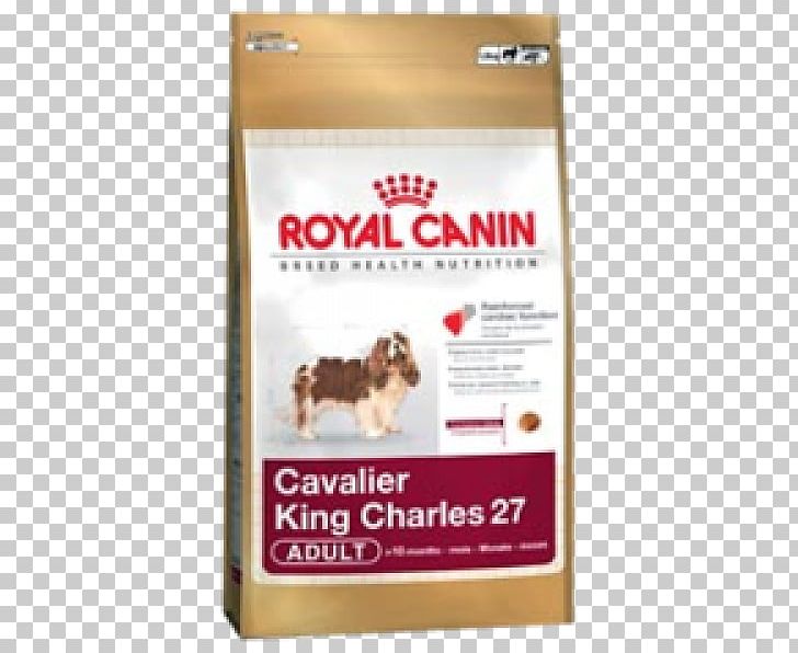 Dachshund Cavalier King Charles Spaniel Bulldog Puppy PNG, Clipart, Animals, Breed, Bulldog, Carnivoran, Cavalier King Charles Spaniel Free PNG Download