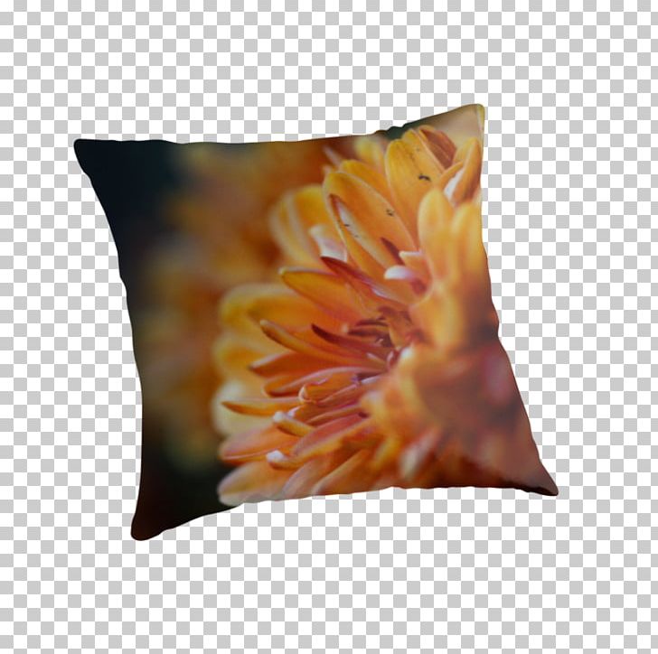 Throw Pillows Cushion PNG, Clipart, Cushion, Flower, Orange, Orange Chrysanthemum, Peach Free PNG Download