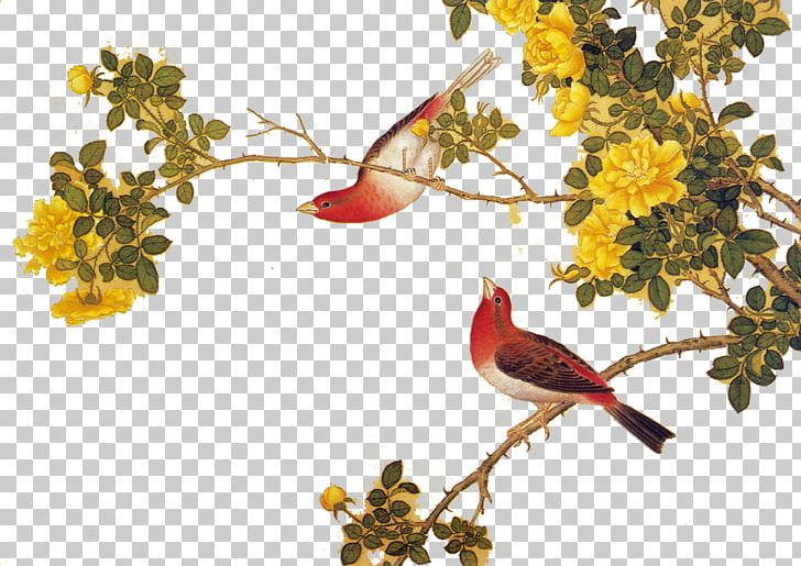 Bird Chinese Painting Moutan Peony Gongbi PNG, Clipart, Birdandflower Painting, Birds, Birds And Flowers, Branch, Chinese Style Free PNG Download