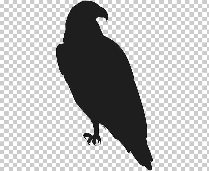 Black And White Silhouette PNG, Clipart, Animals, Art, Art Museum, Beak, Bird Free PNG Download