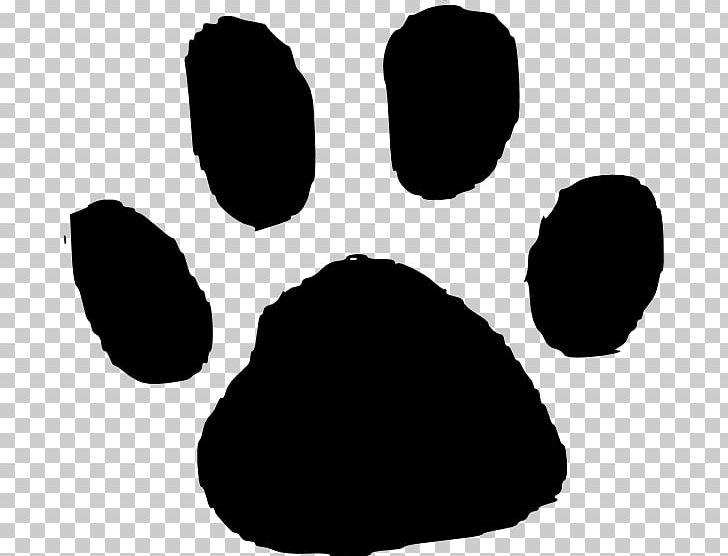 Cat Dog Paw Footprint PNG, Clipart, Animal, Animals, Animal Track, Bear, Bear Paw Free PNG Download