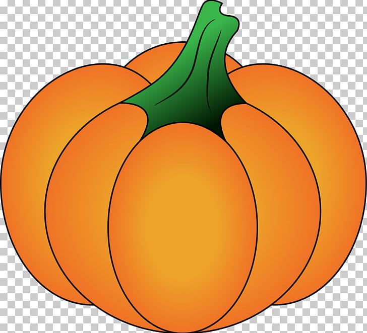 Jack-o'-lantern Gourd Pumpkin Winter Squash Cucurbita PNG, Clipart,  Free PNG Download