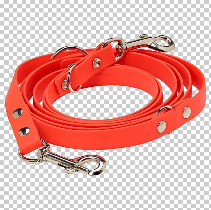 Leash Dog Collar Hunting PNG, Clipart, Amount, Animals, Askari, Clothing, Clothing Accessories Free PNG Download