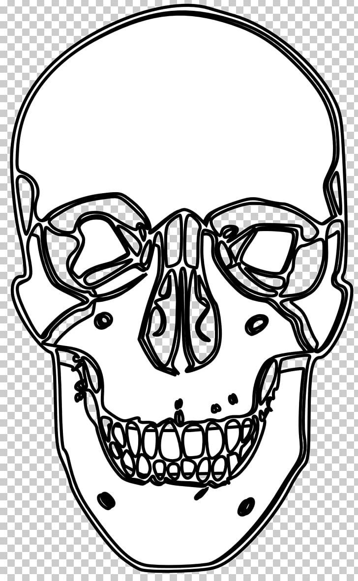 Drawing Line Art PNG, Clipart, Art, Artwork, Black And White, Bone ...